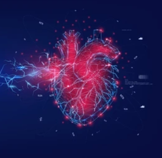 The Heart's "Little Brain"