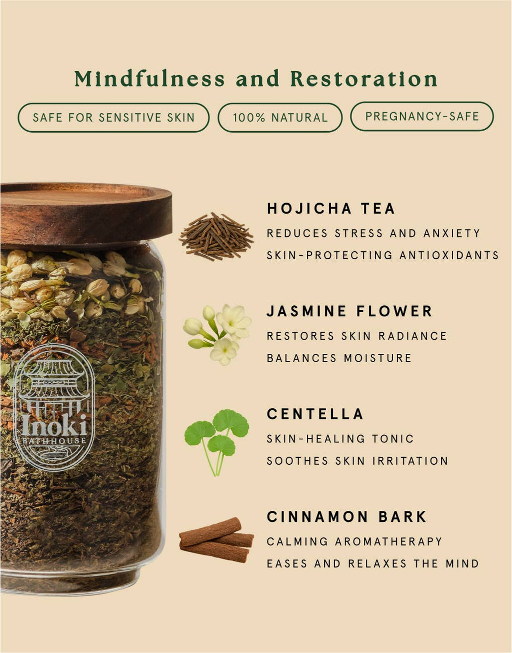 Ancient Forest - Mindfulness & Restoration (Mini)