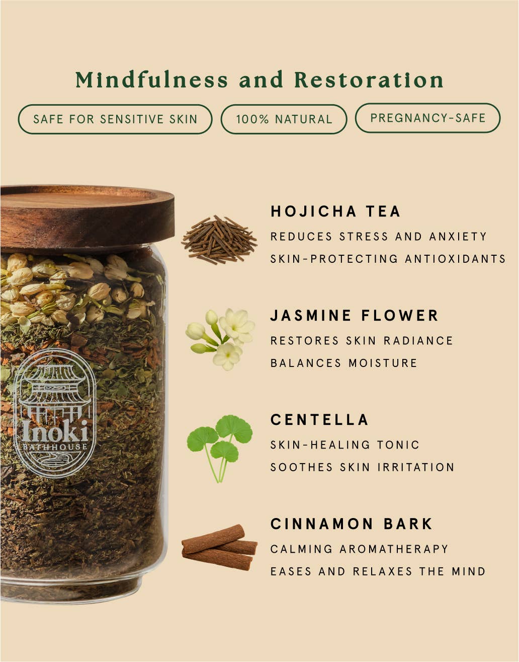 Ancient Forest - Mindfulness & Restoration (Mini)
