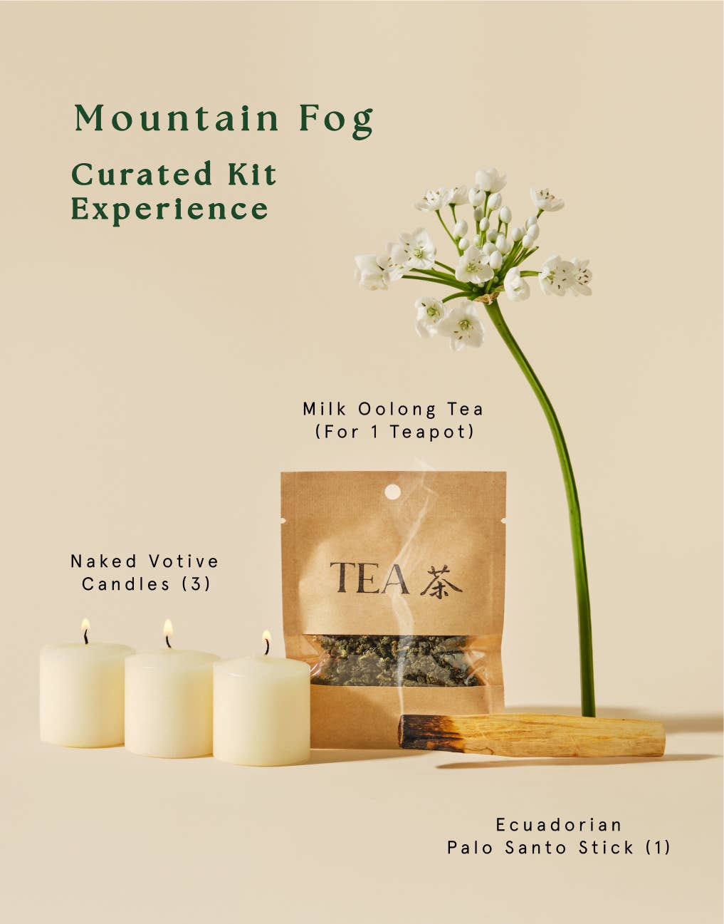 Mountain Fog Kit Add-On