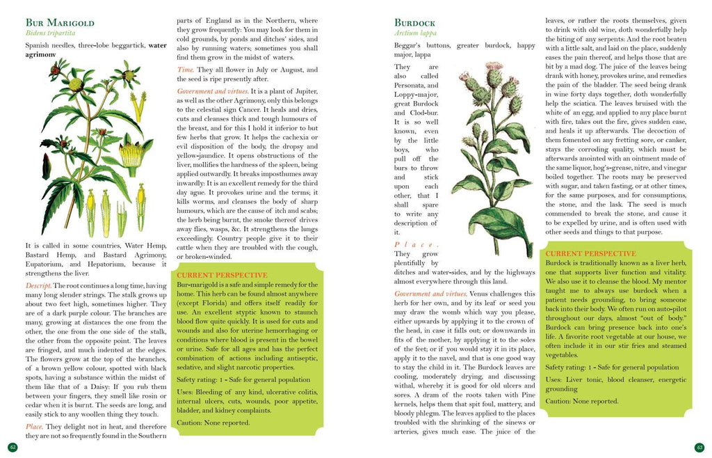 Culpeper's Complete Herbal: Herbalists, Healers, & Witches: White Cover