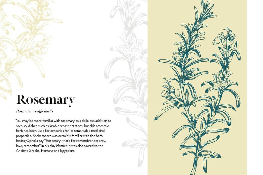 Adaptogens: Harness the Power of Superherbs to Reduce Stress