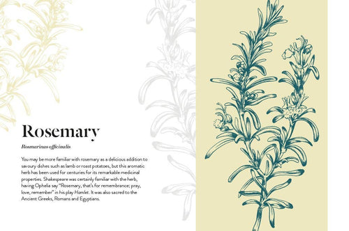 Adaptogens: Harness the Power of Superherbs to Reduce Stress