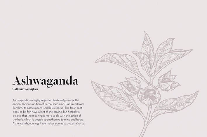 Adaptogens: Harness the Power of Superherbs to Reduce Stress