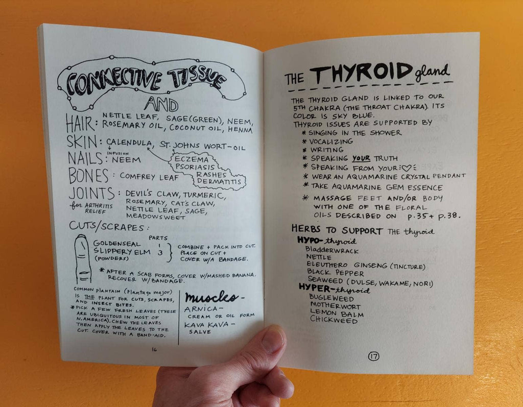 Healing Your Magical Body with Plants & Minerals (Zine)