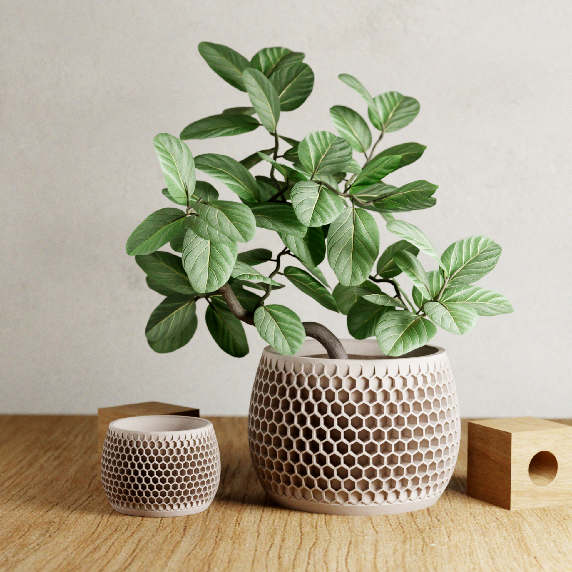 HONEYCOMB Planter: Natural Wood / Large