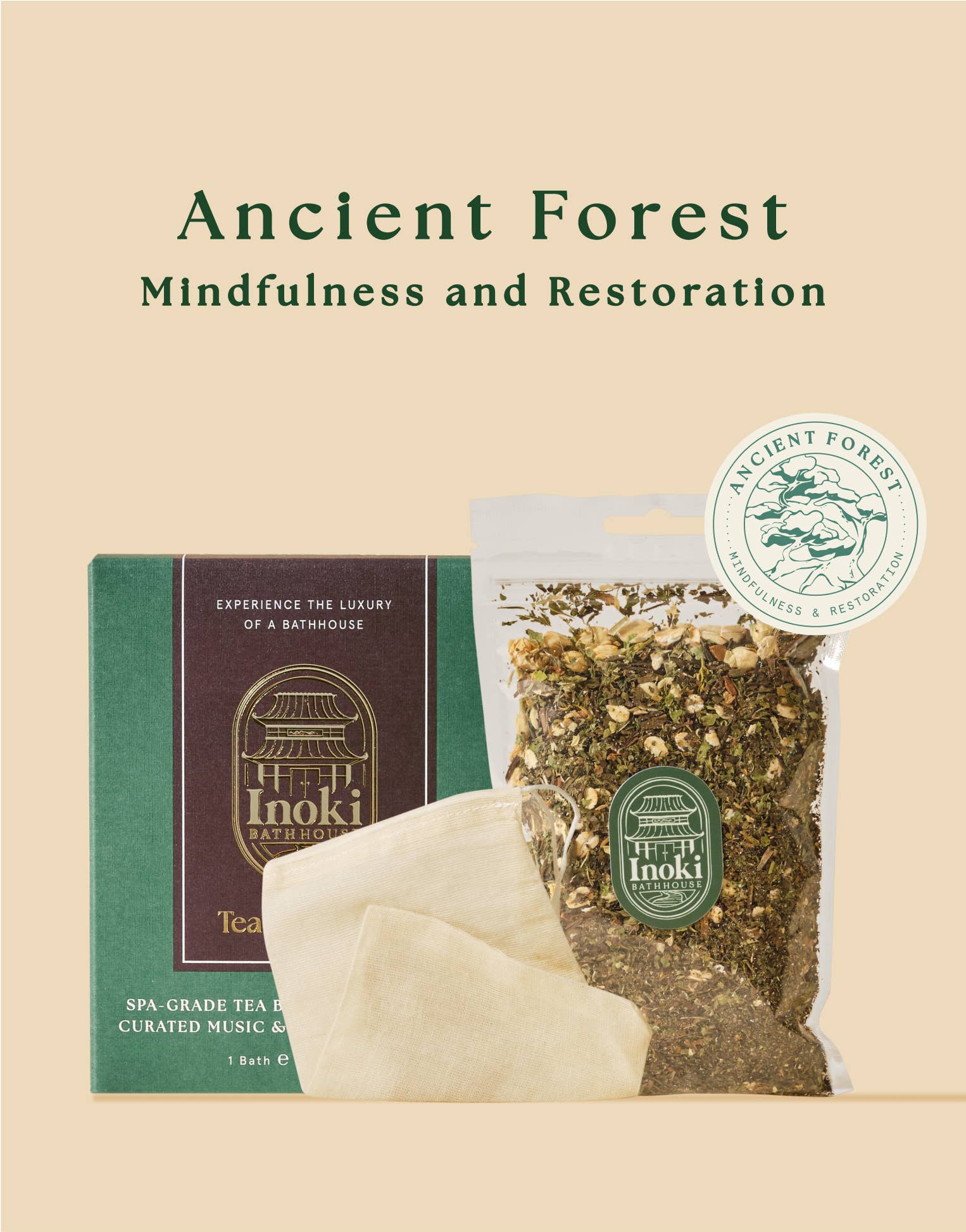 Ancient Forest - Mindfulness & Restoration (Mini)