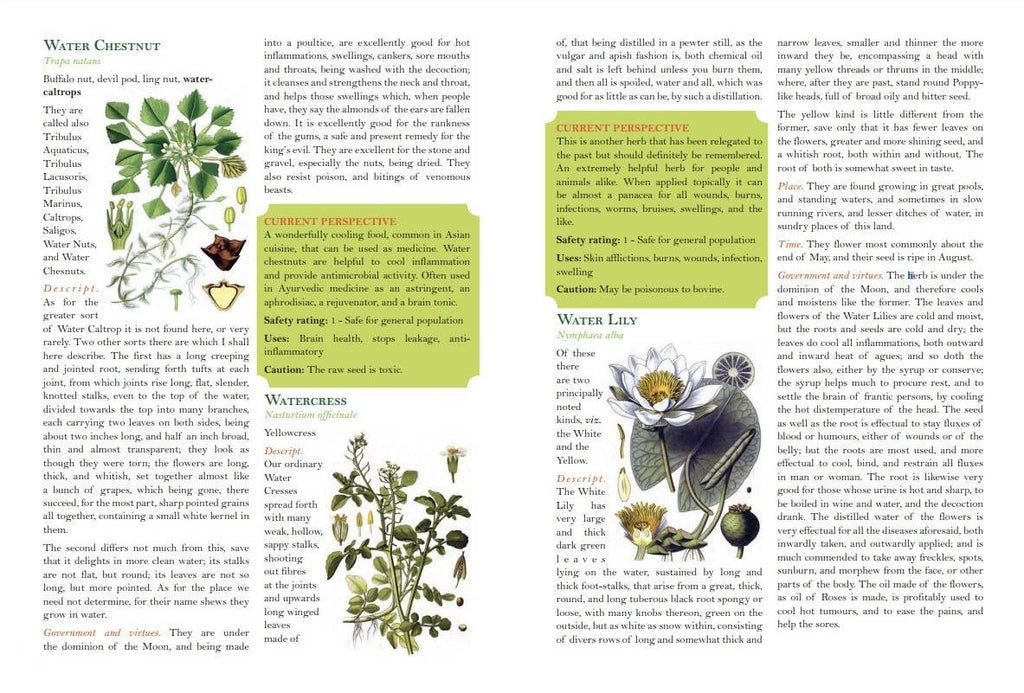 Culpeper's Complete Herbal: Herbalists, Healers, & Witches: White Cover