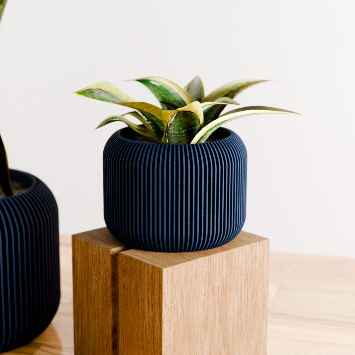 ORBIS Planter: Muted Green / 5 Inches
