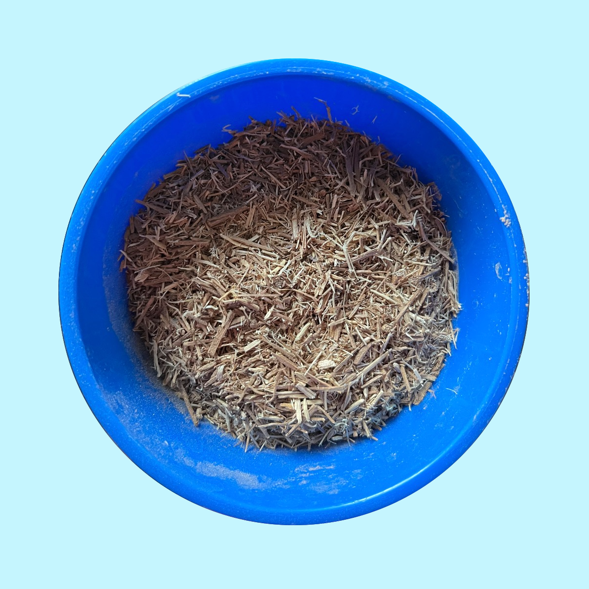 Palo Azul - Loose Tea - 1 lb (256 cups) - USDA Organic